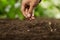 Farmer sowing seeds on healthy soil grow vegetable