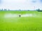Farmer spray pesticides