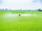 Farmer spray pesticides