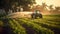 farmer spraying field of vegetables with tractor. Generative Ai