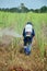 Farmer spraying herbicide on Sugarcane Field