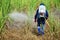 Farmer spraying herbicide on Sugarcane Field