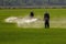 Farmer spraying pesticide in paddy field