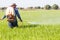 Farmer spraying pesticide in the rice field