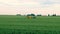 Farmer spraying wheat field with tractor sprayer at spring season