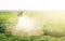 A farmer sprays a cloud of pesticides under the sun`s rays on a potato plantation. Protecting against insect plants and fungal