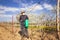 Farmer sprays his vineyard.