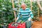 Farmer stacking boxes with picked cucumbers in hothouse