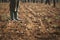 Farmer Standing On Fertile Soil In Farm