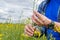 Farmer standing in oilseed rape examining the crop.