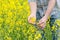 Farmer Standing in Oilseed Rapseed Cultivated Agricultural Field