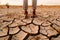 Farmer standing on parched landscape. Drought, disaster and crop failure.