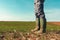 Farmer standing in wheat sprouting field