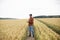 A farmer stands in a wheat field and checks his wheat harvest