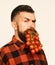 Farmer with strict face holds bunch of cherry tomatoes in mouth. Farming and autumn concept. Man holds tomato berries as