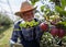 Farmer with tablet in apple orchard