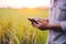 Farmer with a tablet computer in front of a sunset agricultural landscape. Neural network AI generated