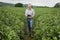 Farmer with Tablet Computer in the Middle of Farm Field