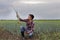 Farmer with tablet in garlic field