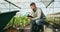Farmer, tablet and greenhouse plants, farming and gardening or agriculture inspection for data management. Man, seller