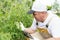 A farmer with a tablet slowly examines plants - tomatoes.