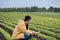 Farmer with tablet in soybean field in spring