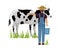 Farmer taking care of cow Vector. Female farmer working. animal care poster. Isolated on a white backgrounds