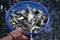 farmer taking indian carp fish fingerling babies in basket after fish breeding