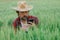 Farmer taking picture of green wheat crops with smartphone