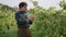 Farmer tasting ripe grapes on plantation. Winegrower picking grapes bunch.