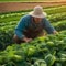 A farmer tending to a field of vibrant, pesticide-free crops1