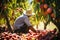 Farmer Tending To Vibrant Orchard Of Fruit Trees. Generative AI