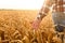 Farmer touching his crop with hand in a golden wheat field. Harvesting, organic farming concept