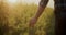 Farmer Touching Yellow Flowering Plants In Farm.