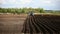 Farmer in tractor and birds preparing land for sowing. Back view