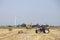 Farmer in tractor busy collecting hay bales with tractor in dutch province of groningen