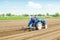 Farmer on a tractor with a cultivator processes a farm field. Soil preparation, cutting of rows for planting crop plants. Farming