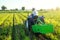 A farmer on a tractor drives across the field and digs potatoes. Extract root vegetables to surface. Farming and farmland.