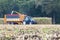 Farmer on tractor harvesting corn