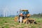 Farmer on tractor harvesting onions