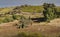 A farmer on tractor in his field in Cyprus