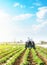 A farmer on a tractor loosens the soil and removes weeds on a potato plantation. Farming agricultural industry. Processing and