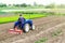 Farmer on a tractor with milling machine loosens, grinds and mixes soil. Loosening the surface, cultivating the land for further