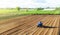 A farmer on a tractor processes a farm field. Cultivating land soil for further planting. Loosening, improving soil quality. Food