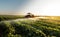 Farmer on a tractor with a sprayer makes fertilizer for young vegetable