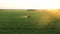 Farmer Tractor Sprays Fertilizers Over Field Of Agricultural Crops At Sunset