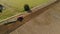 A farmer on a tractor uses a harrow seeder, cultivates the soil, prepares the fields for sowing