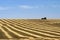 Farmer transporting straw bales in harvested field