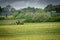 farmer turns the hay in a field with his tractor