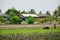 Farmer use Tractor and Trailer towing on Paddy and rice field